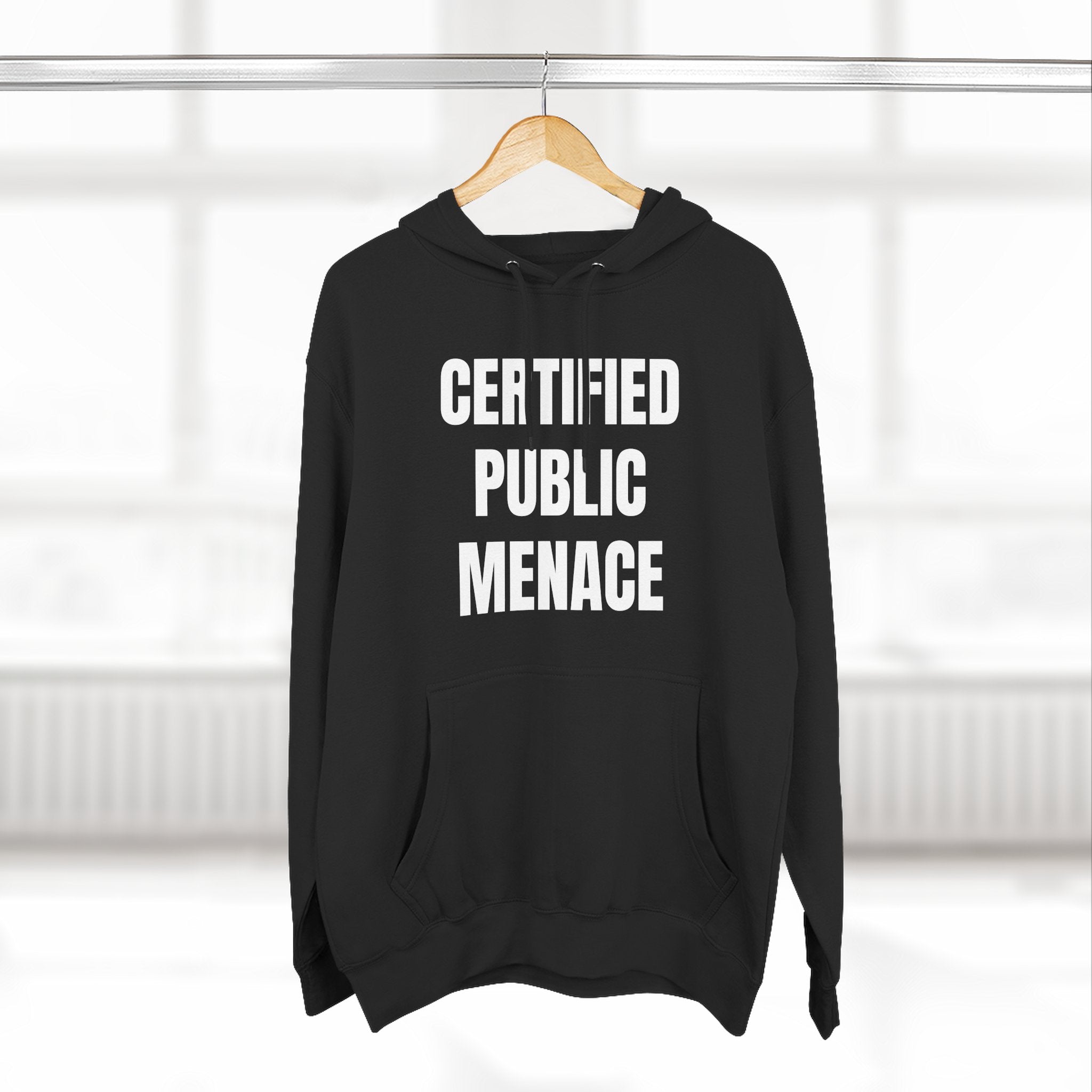 Certified Public Menace Hoodie